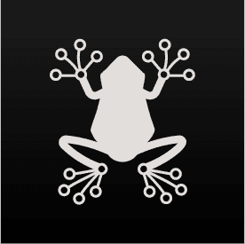 Rainfrog