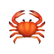 claw.fm